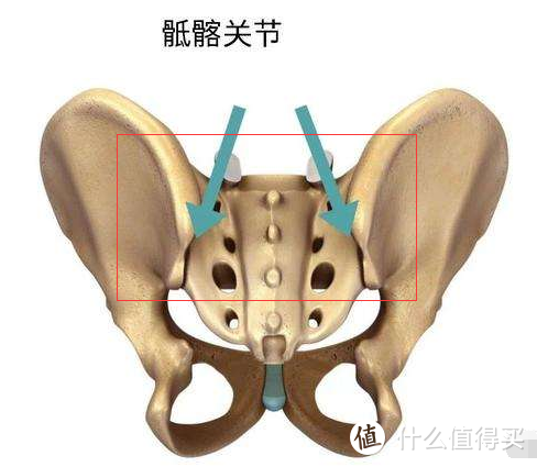 你是否需要一把人体工学椅？脊柱外科大夫告诉你