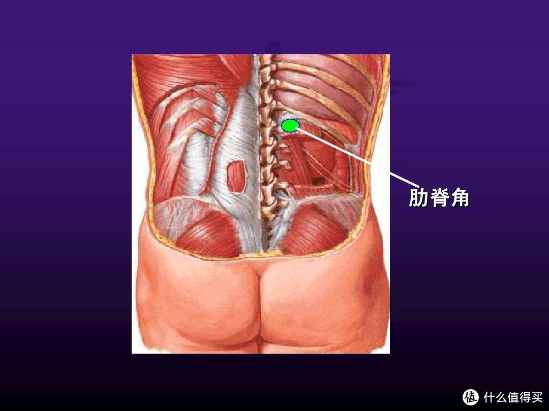 你是否需要一把人体工学椅？脊柱外科大夫告诉你