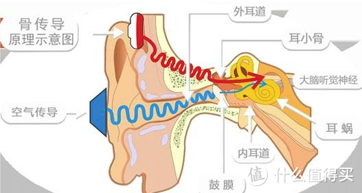 骨传导游泳耳机哪个好——南卡runner pro与韶音as700大对比！