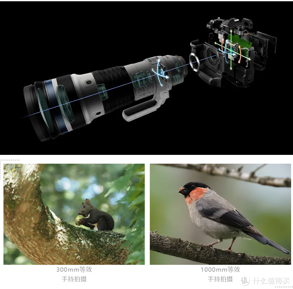 奥林巴斯发布全新超长焦镜头：1000mm等效手持拍摄成为可能