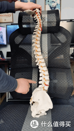 你是否需要一把人体工学椅？脊柱外科大夫告诉你