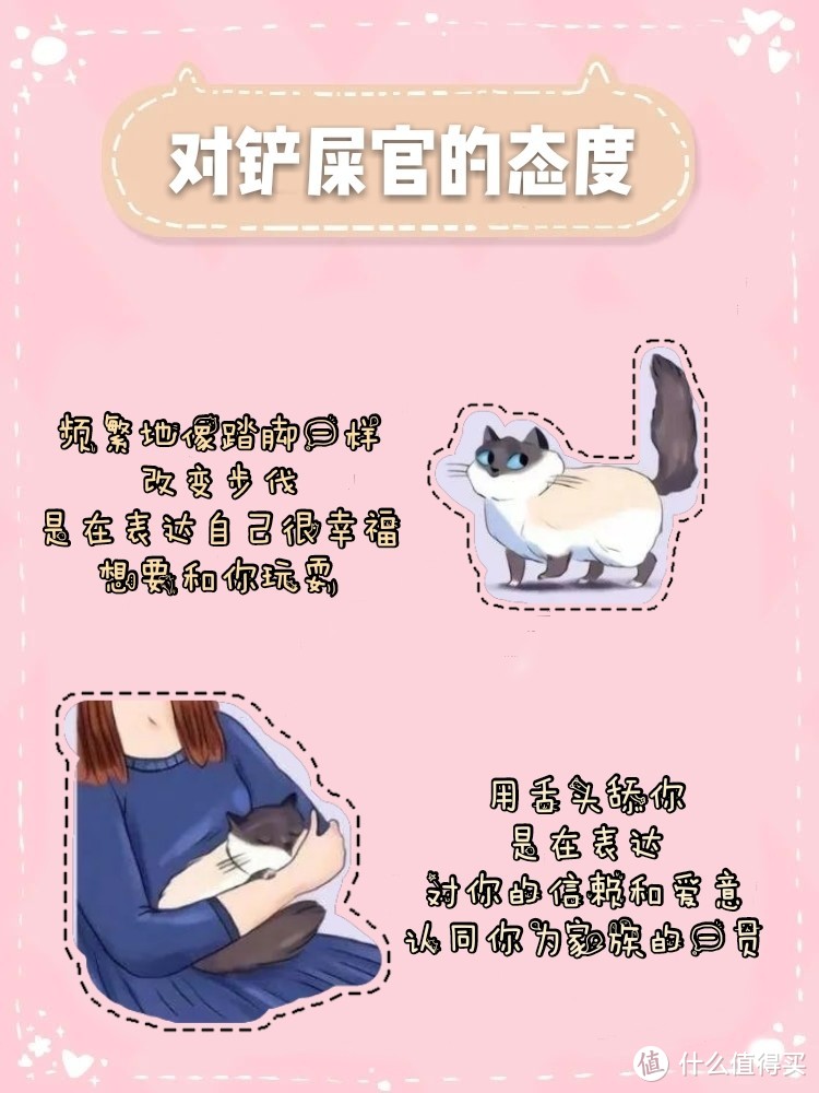 图说养猫知识❗拿走不谢