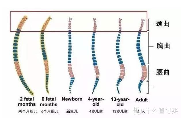 4点搞懂怎么选儿童床垫：还有2000-5000性价比床垫推荐