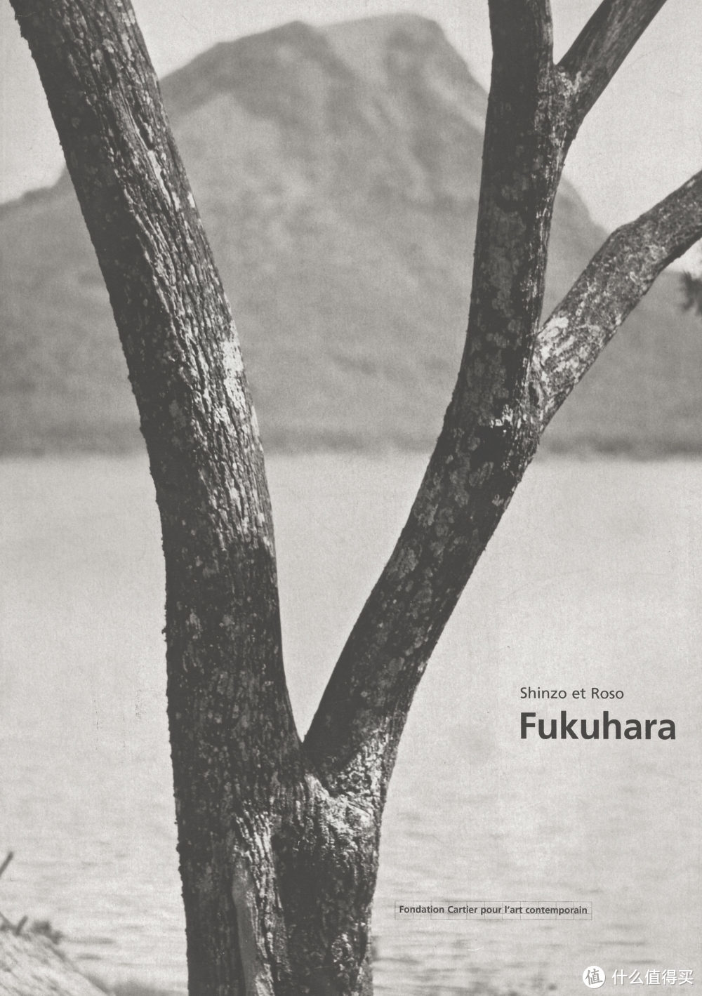 Shinzo et Roso Fukuhara Photographies 1913-1941