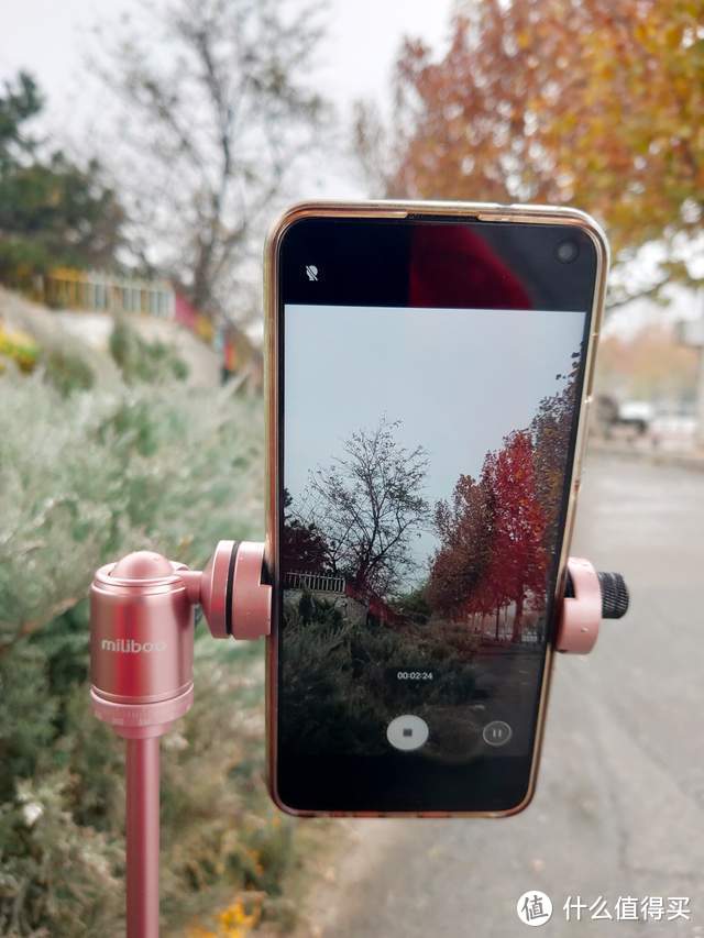 手机摄影：北京的初雪来的好准时和精彩（多图）