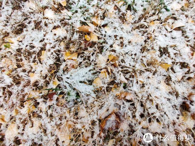 手机摄影：北京的初雪来的好准时和精彩（多图）