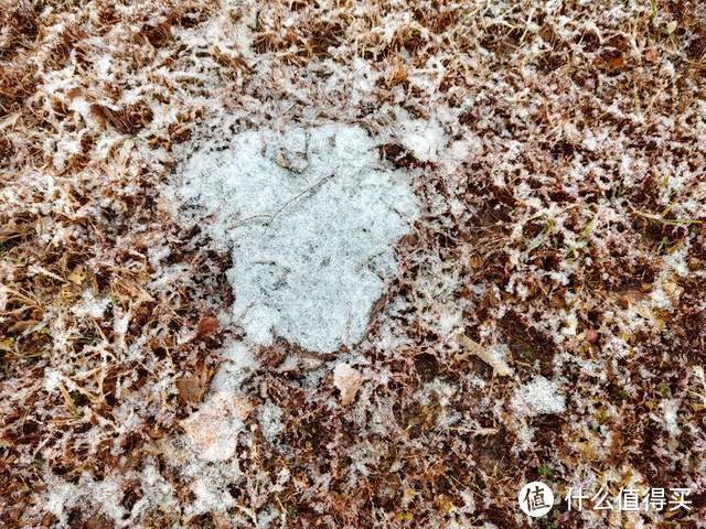 手机摄影：北京的初雪来的好准时和精彩（多图）