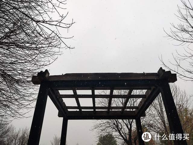 手机摄影：北京的初雪来的好准时和精彩（多图）