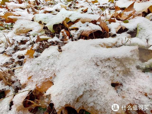 手机摄影：北京的初雪来的好准时和精彩（多图）