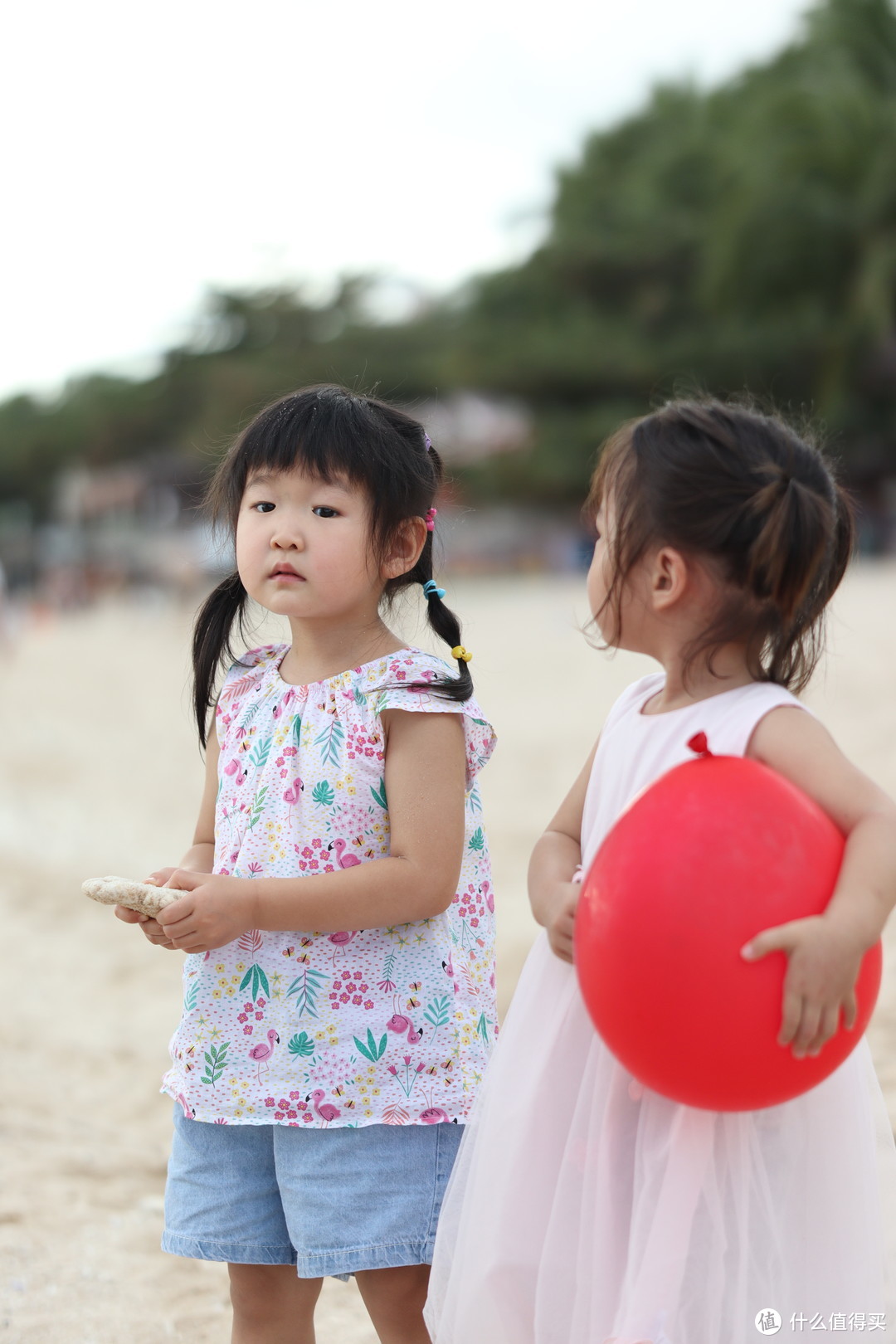 当国货之光遇见最强副厂，唯卓仕56mmF1.4和适马56mm F1.4对比评测