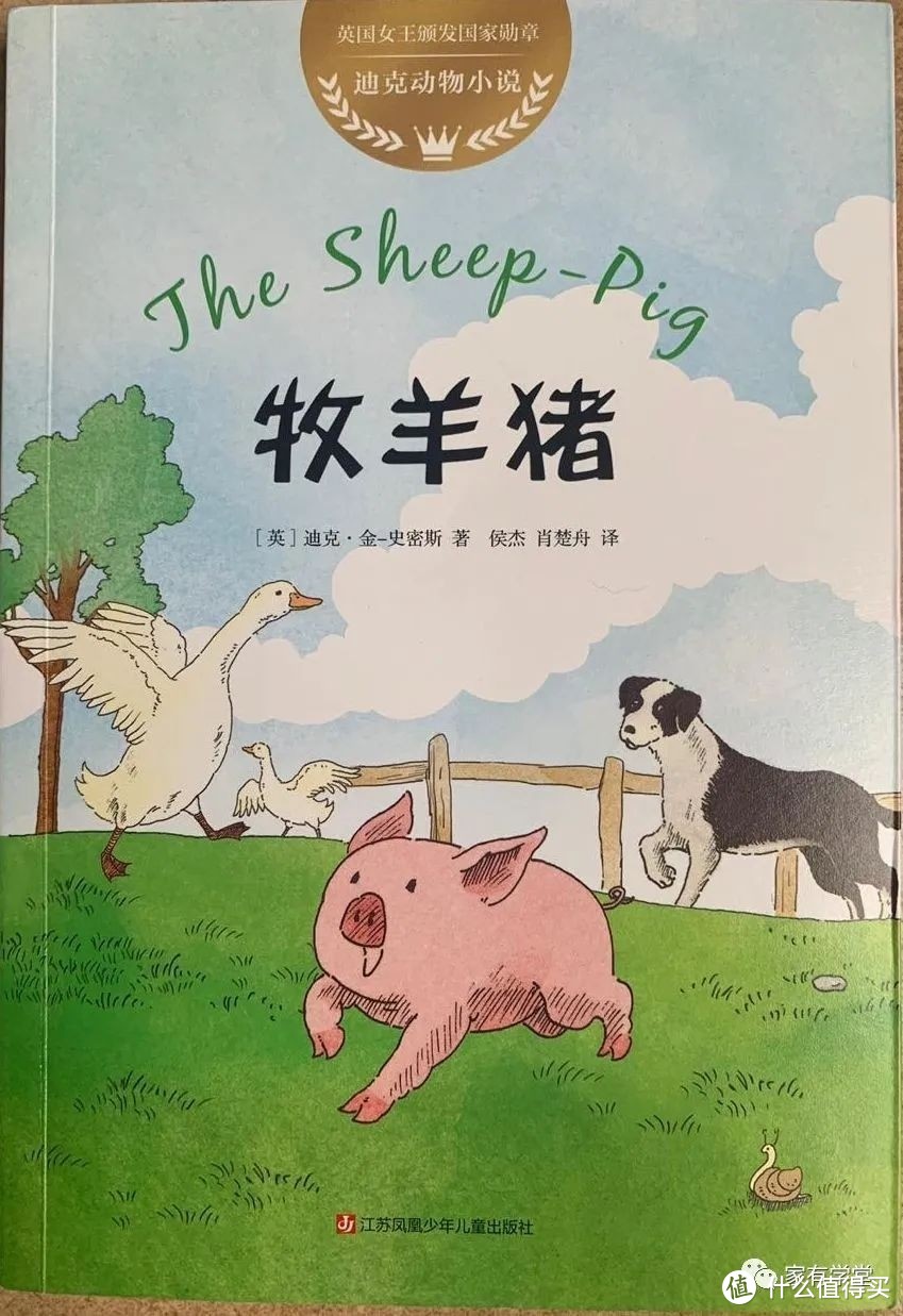 7岁+|《牧羊猪》，勇敢与可爱并行，轻松快乐的励志童话今天推荐一本动物