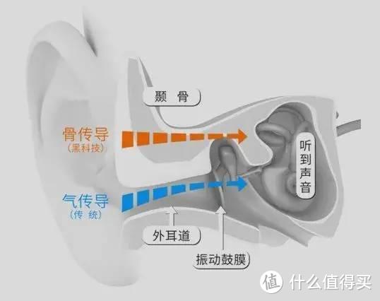 韶音AS660：颜值和性价比更高，运动、听书利器