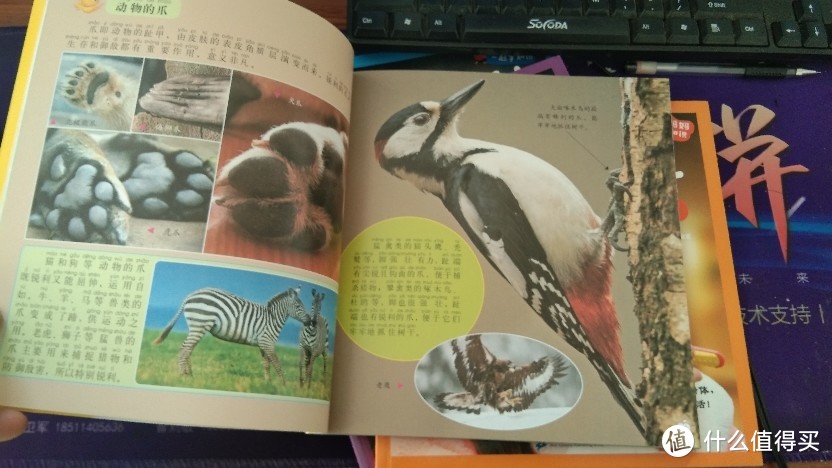儿童成长小百科~动物+植物+昆虫大图注音铜版纸印刷