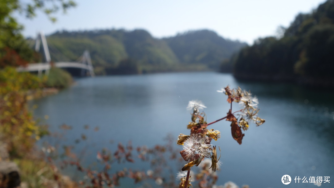 学校好不好看，决定了是否爱去上学|千岛湖的秋日童话世界