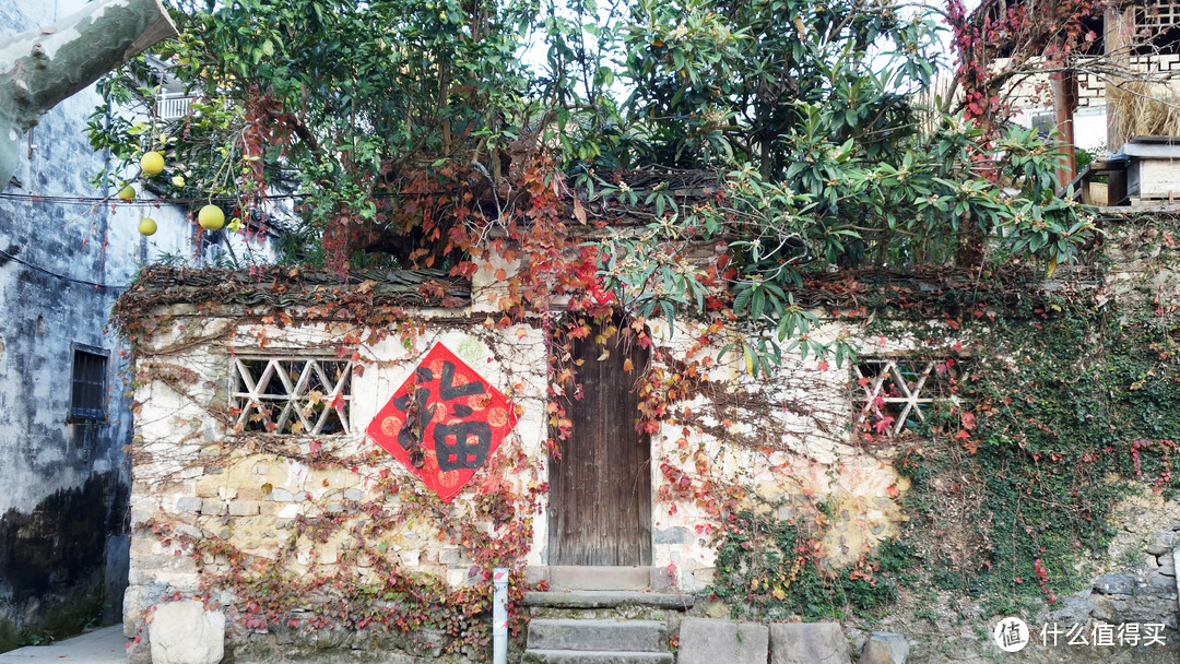 学校好不好看，决定了是否爱去上学|千岛湖的秋日童话世界