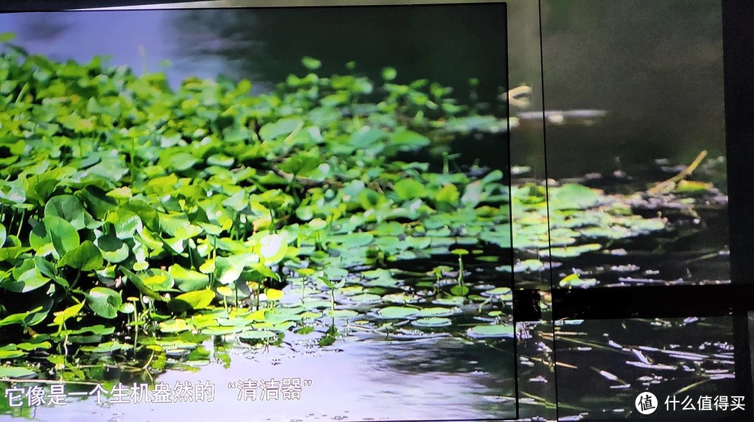 双十一剁手晒单：打造智能家，吐血也要推荐的单品来了！