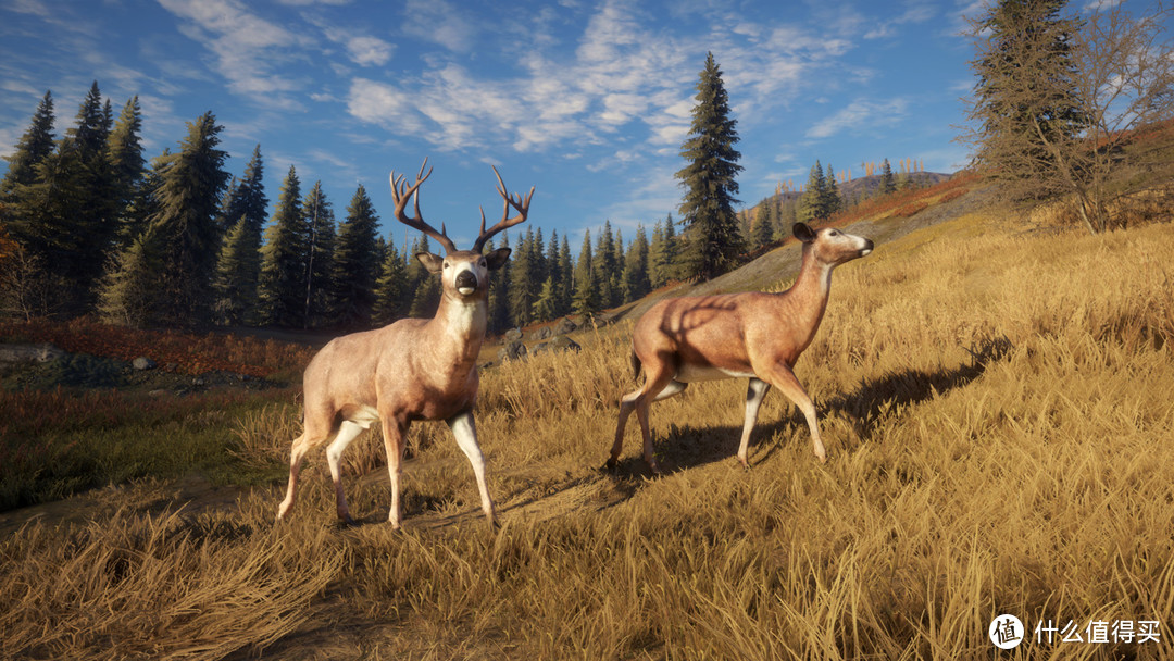 Steam限时特惠：3折购《猎人：荒野的召唤》 你喜欢狩猎吗？