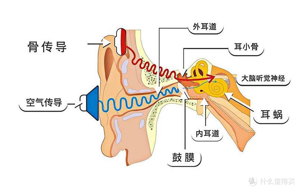 韶音新品AS660 OpenMove骨传导耳机，改变人类聆听方式的黑科技