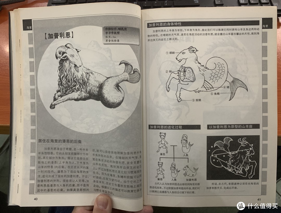 图书馆猿の2020读书计划69：《幻兽物语》