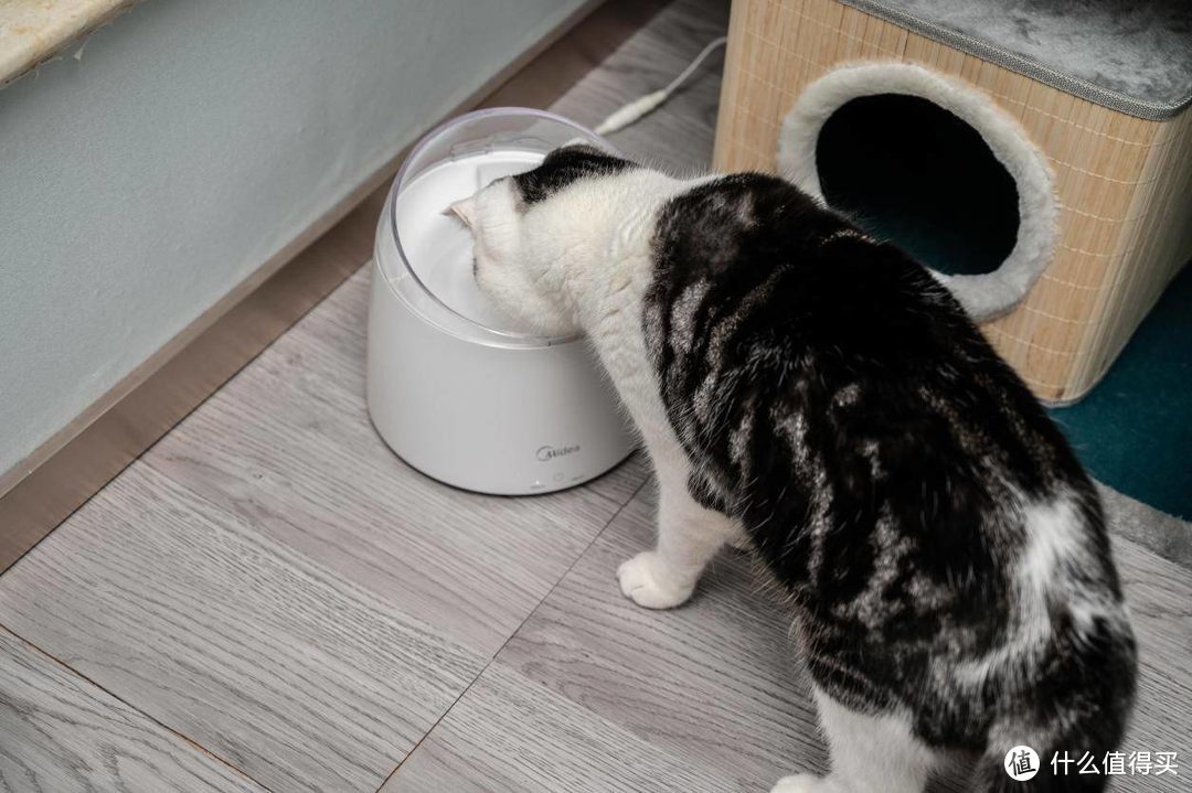 上班太忙没时间照顾猫主子，喝水不能少，给主子添置一台自动饮水机