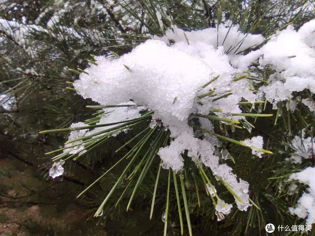 长安初雪