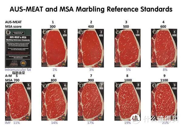 澳洲牛肉分级