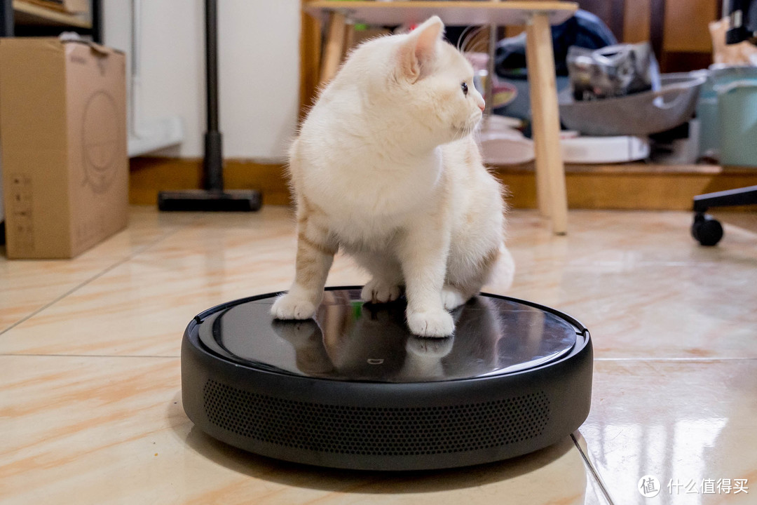 实现养猫家庭的光脚自由 — 米家扫拖机器人1T使用体验