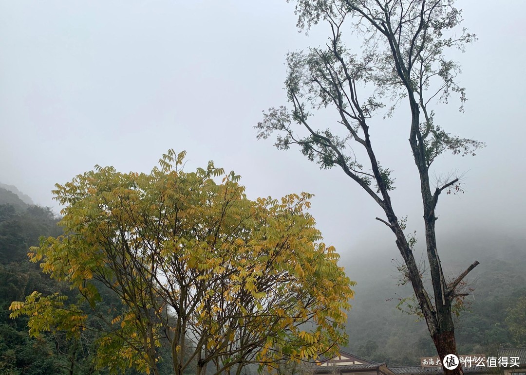 金秋好时节，与庐山西海来一次轻自驾约会吧