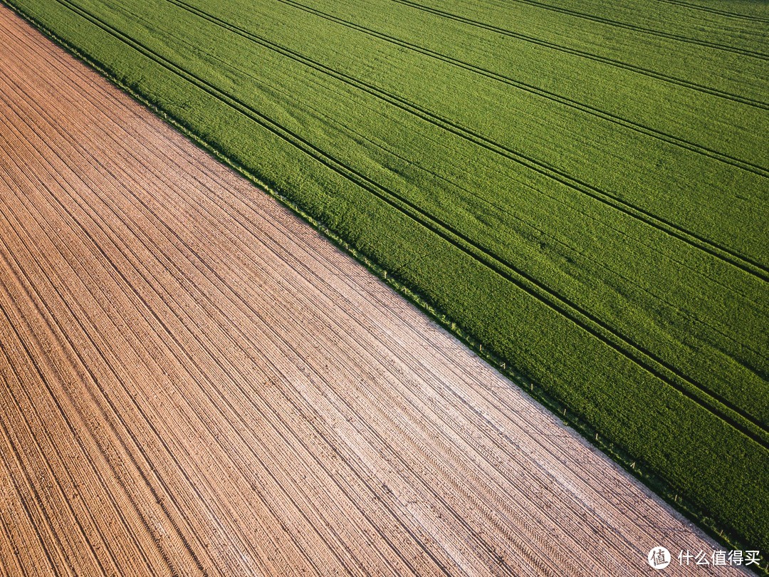 平面构图对比构图图片