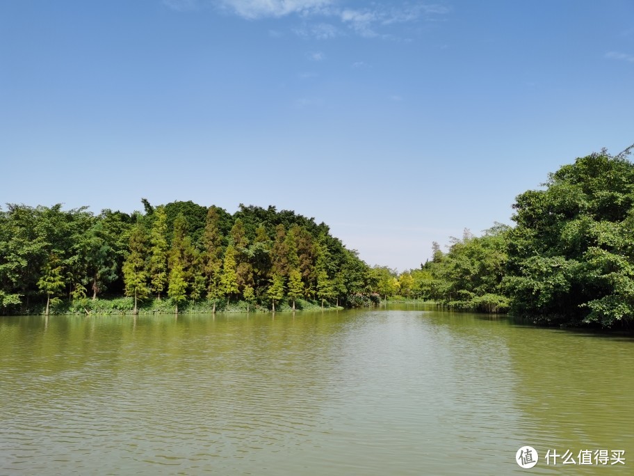 小鸟天堂湖景