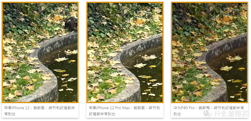 苹果iPhone 12 DxOMark成绩公布：总体表现优异，但人像和变焦拖了后腿