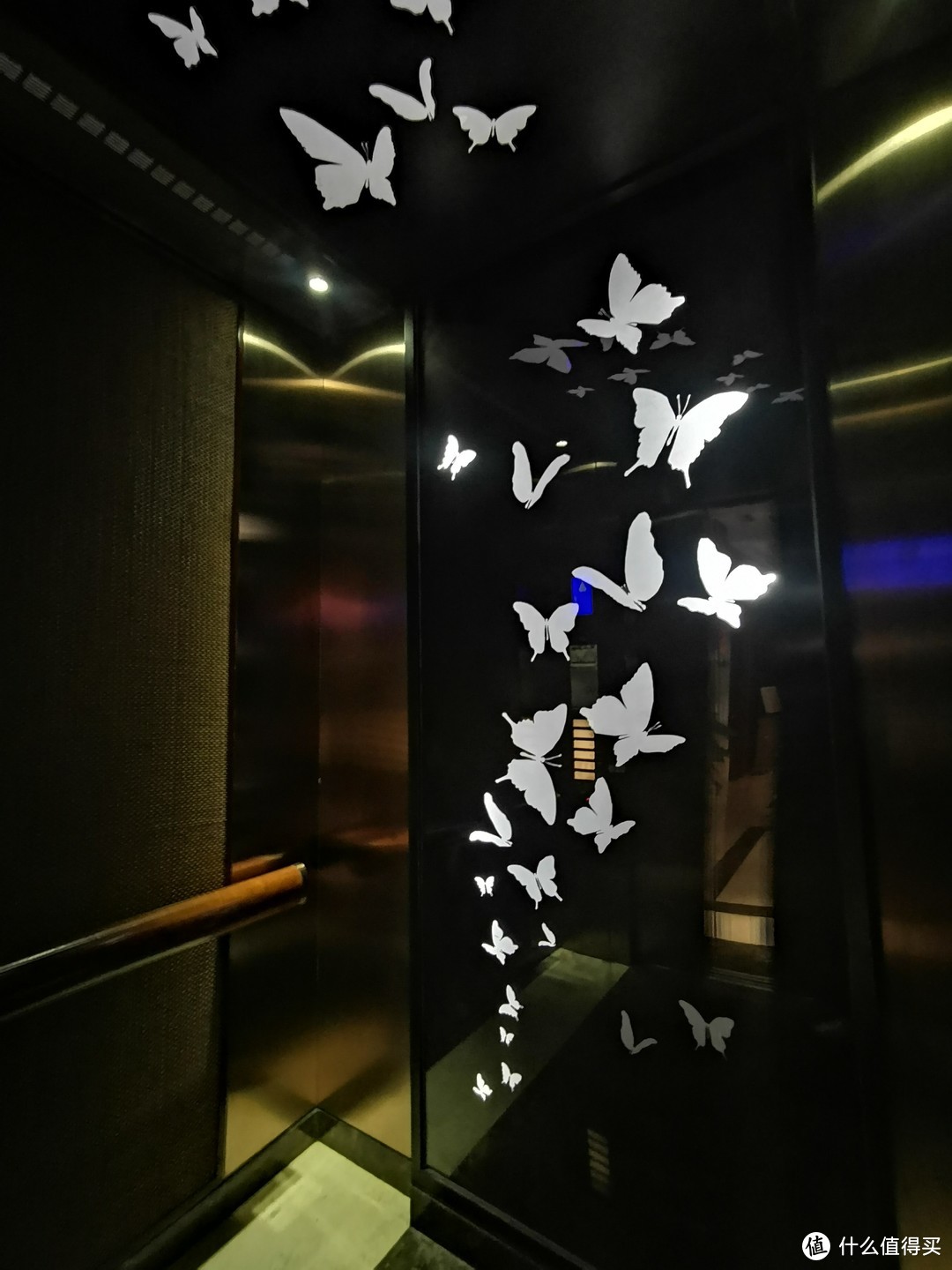 电梯里面的装饰画也是对应彩蝶纷飞的主题