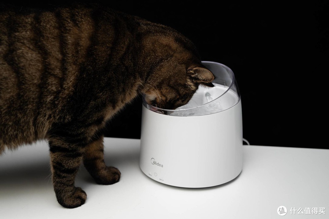 尿路感染、尿结晶？猫咪饮水机解决猫咪不喝水的问题