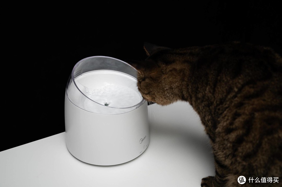 尿路感染、尿结晶？猫咪饮水机解决猫咪不喝水的问题