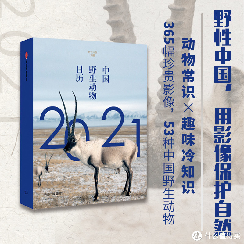 要想2021过得好，花样日历少不了