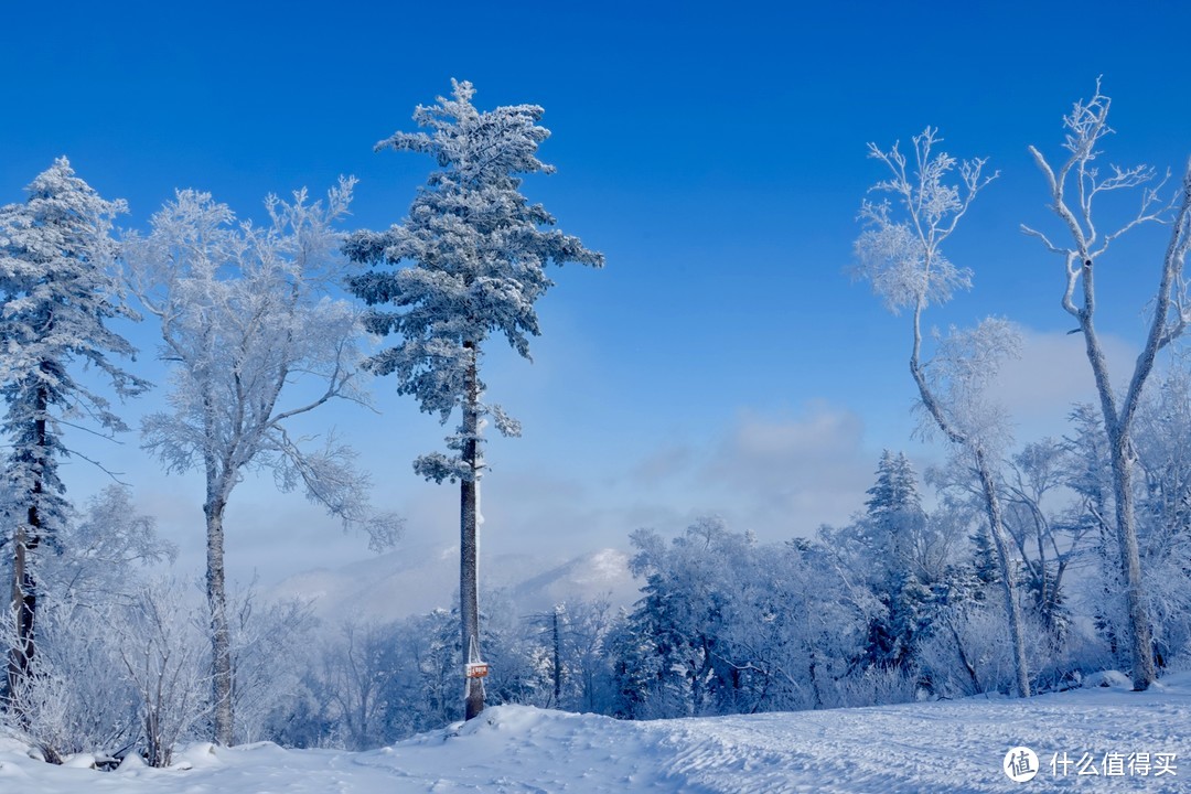 如何玩转Club Med|北大湖Club Med滑雪度假村行动指南