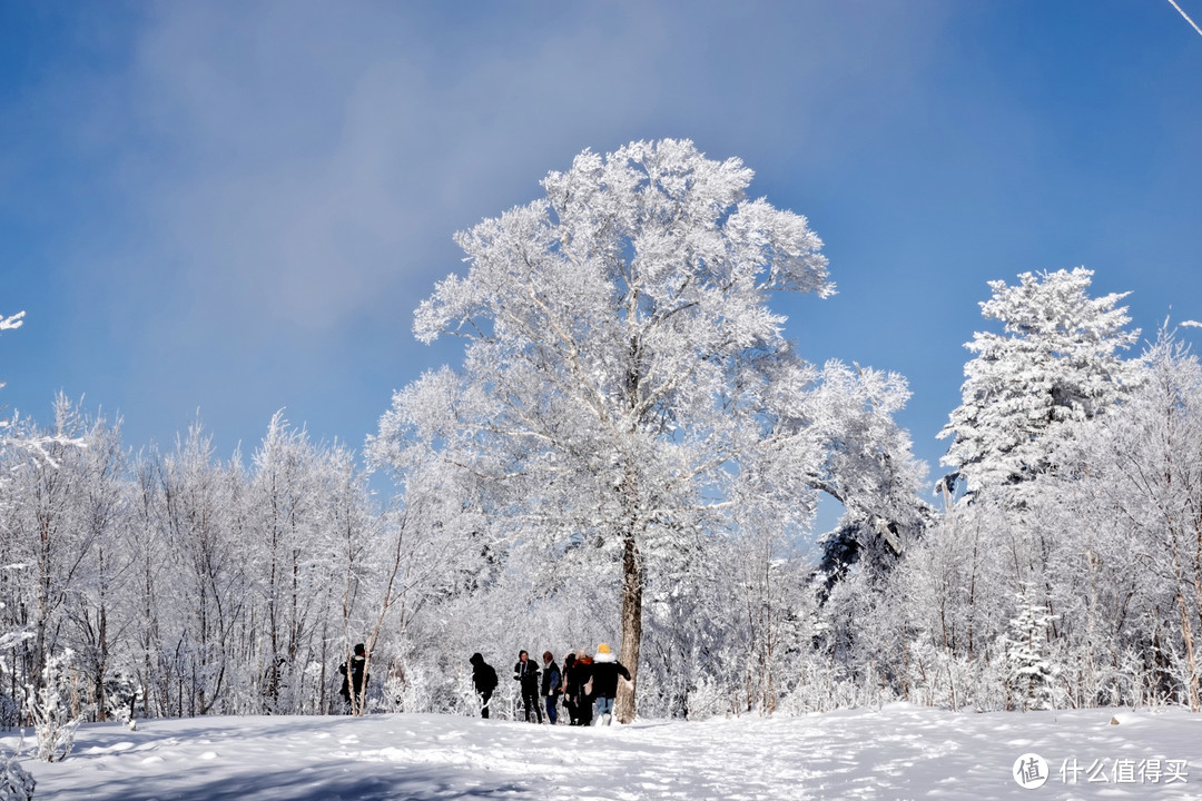 如何玩转Club Med|北大湖Club Med滑雪度假村行动指南