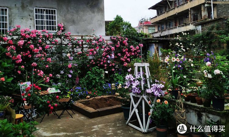 老宅花园改造知识｜花4年，将破旧院落，改造成最美花园