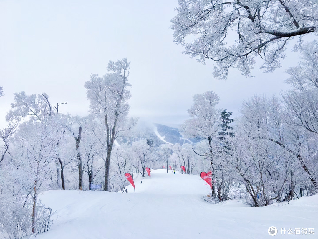 如何玩转Club Med|北大湖Club Med滑雪度假村行动指南