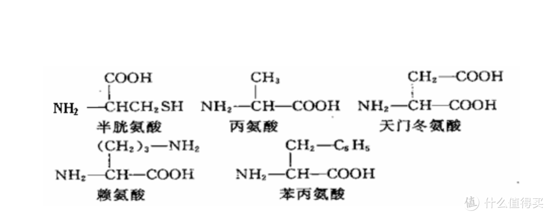 一些化学成分= =