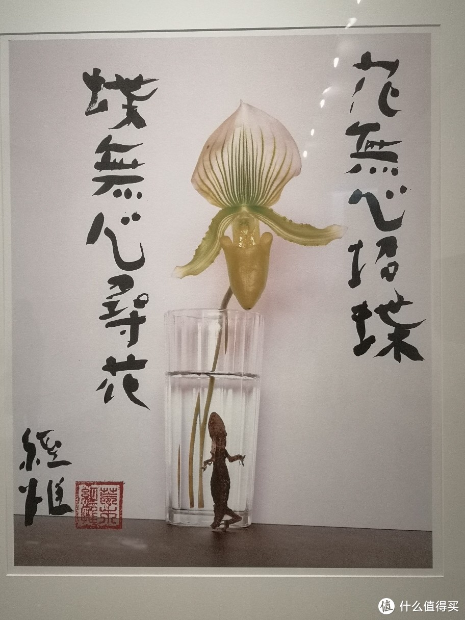 【展会观察员】“以花之名”当代艺术群展