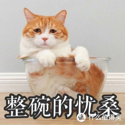 我要感谢这款不用捂着鼻子铲屎的猫砂，直接可以救猫命