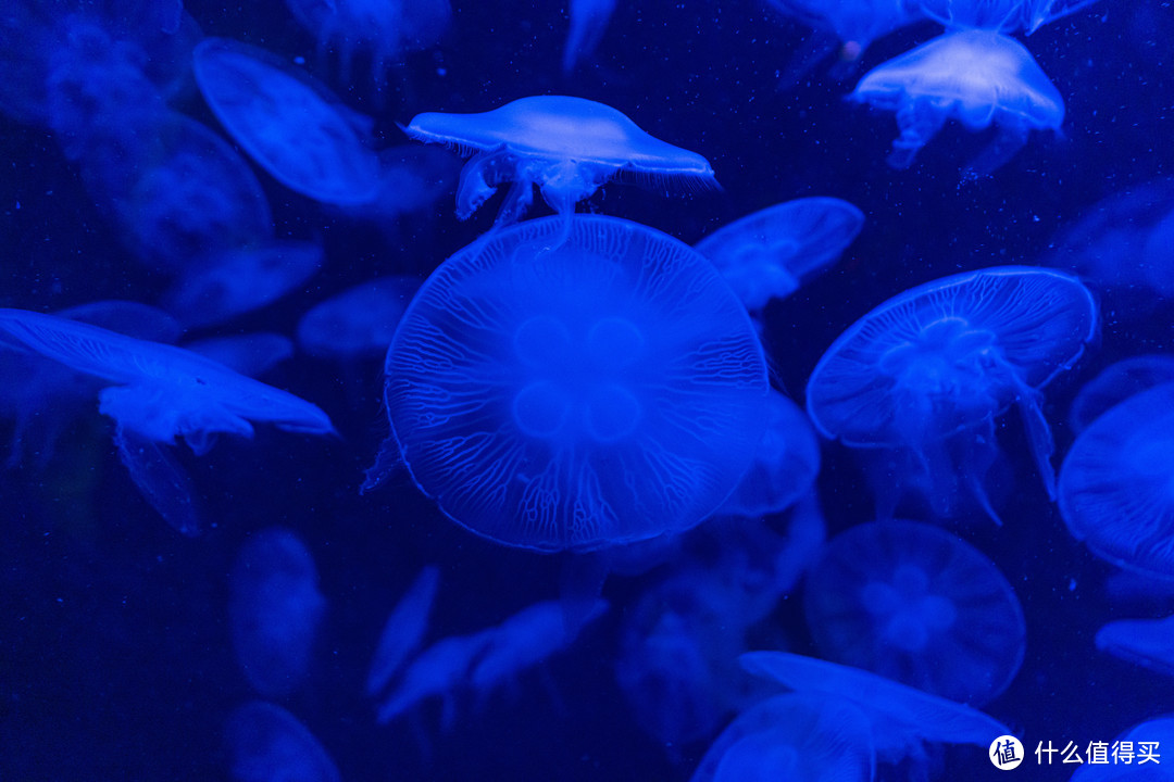 吹着海风，度个假——三亚的正确打开方式