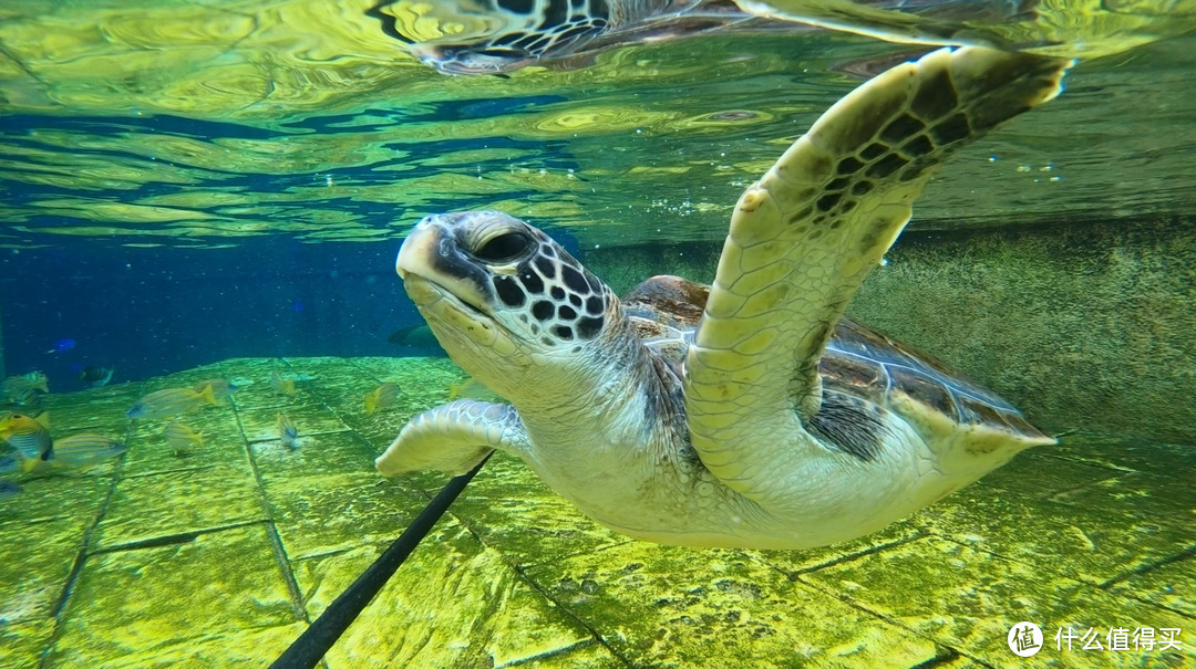 吹着海风，度个假——三亚的正确打开方式