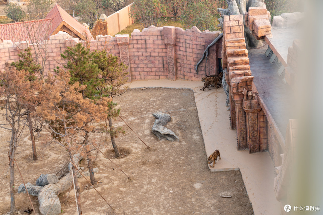 济南泉城欧乐堡动物王国游记