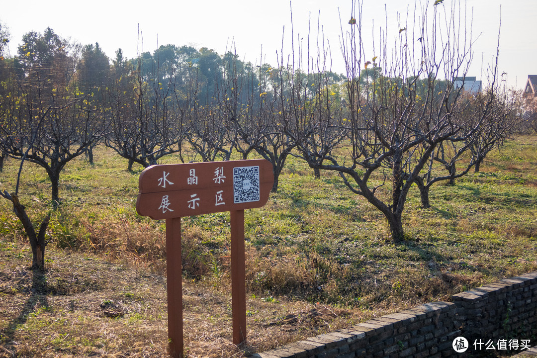 松江区——广富林文化遗址公园