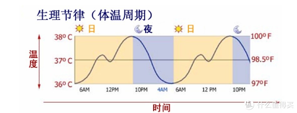 生理节律图