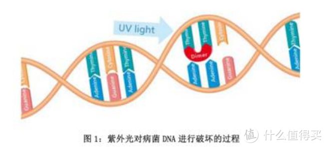 关于紫外线消毒，灭活新冠病毒那些事！~附上超实用紫外线消毒家电清单！