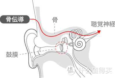 上海地铁“消音令”后怎么办？earsopen逸鸥骨传导耳机为你解忧