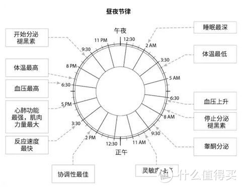 “昼夜节律”理论也来自此书